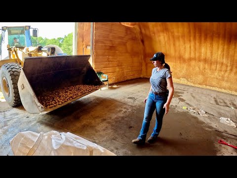 From Potato Storage To Sweet Corn Packing House Set Up On