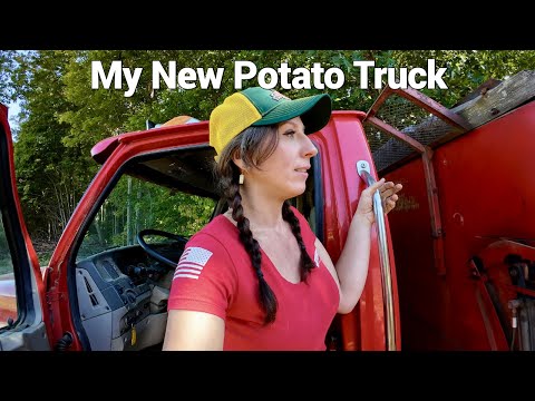 First load of potatoes 2024