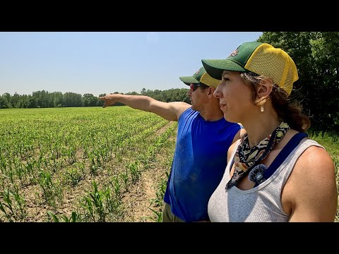 Hot weather in Maine Growing update 6 19 2024