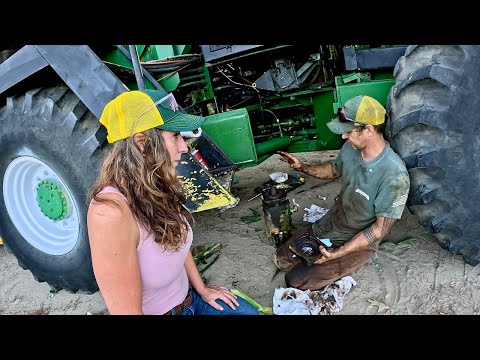 Break down 12 Hrs before first Sweet Corn Harvest