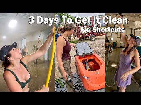 Let The Pressure Washing Begin Packing House Transformation