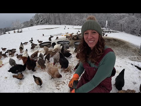 First snow Duck Coop tour