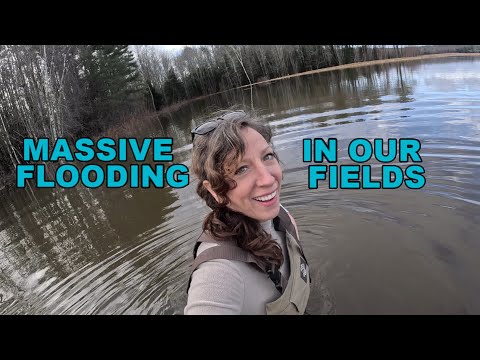 2023 Maine Androscoggin River Flood 200 Acres Underwater