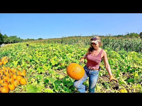 First Pumpkin Patch Harvest Fall Tillage Kickoff 2025