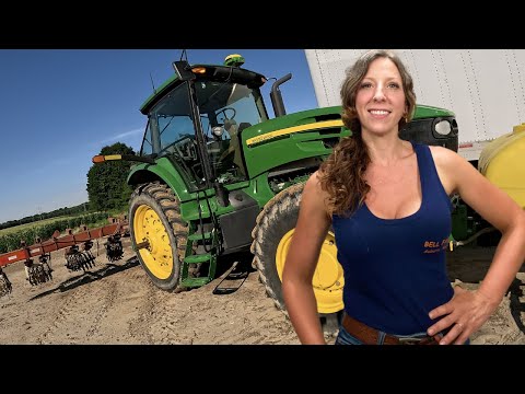 Sweet Corn Cultivating