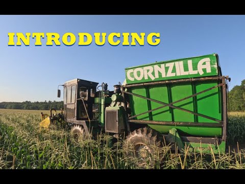Introducing CORNZILLA Harvesting sweet corn with our Oxbo