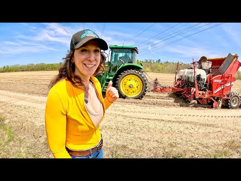 Potatoes in the ground Tractor in the mud A real day on the