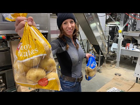 Front bins are empty November wrap up in the potato packing
