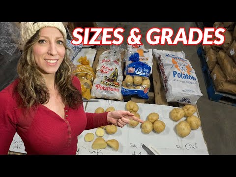 Potato Sizes Grades