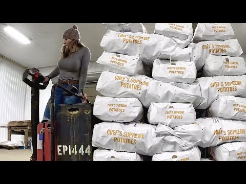 The end of the Potato Pile