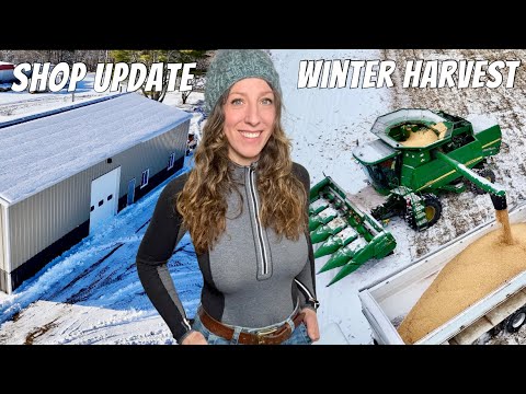 Winter Harvest Shop Update More