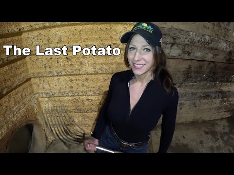 The last potato on the ground