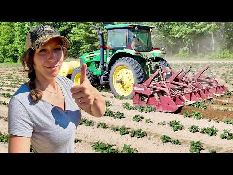 We Finally Start Hilling Potatoes 2026