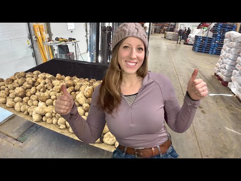 Putting The New Bucket To Work