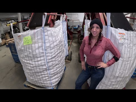 Old storage potato bins are almost empty Filling bulk