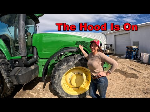 Time for the New Hood