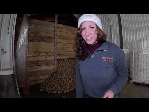 3 Million More Pounds of Potatoes Opening the K span