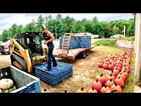 Farm store tour making a pumpkin patch
