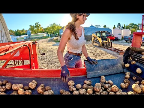 Potato Storage Begins 2025