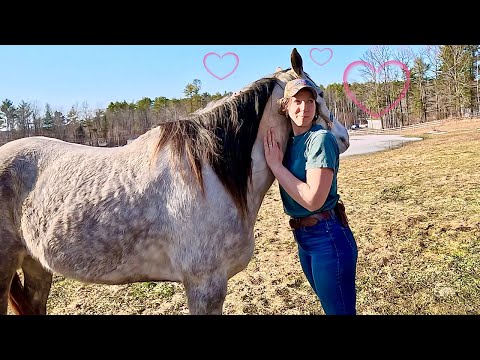 From Test Rides To True Love Meet Lucy My First Horse