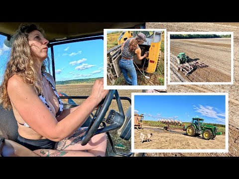 Fall Fieldwork with Molly Shane Bessy Discing Plowing More