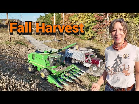 Fall Harvest in Maine 2024