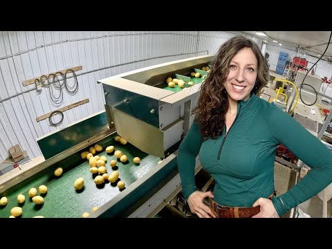 Golden Globes Old Storage