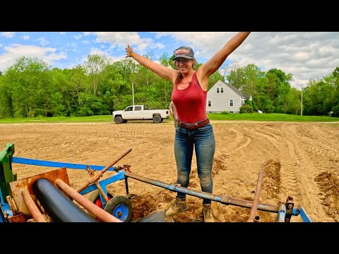 Laying bio 360 for the first time
