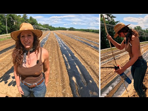 Short update on planting seeds