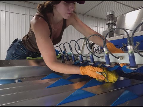 Cleaning our NEWTEC automated potato grader