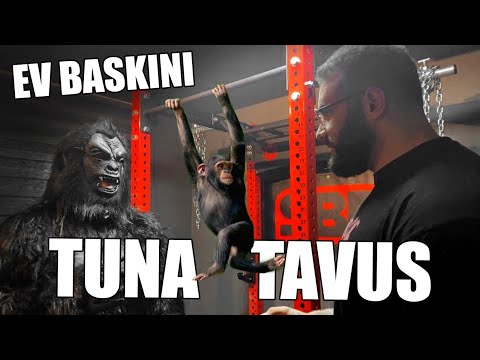 BİR VİDEO SIFIR ADAM