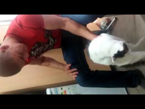Bent over miroğlu concentration curl