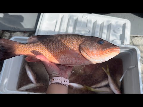 Limpiando y cocinando los pescados de la ultima pesca