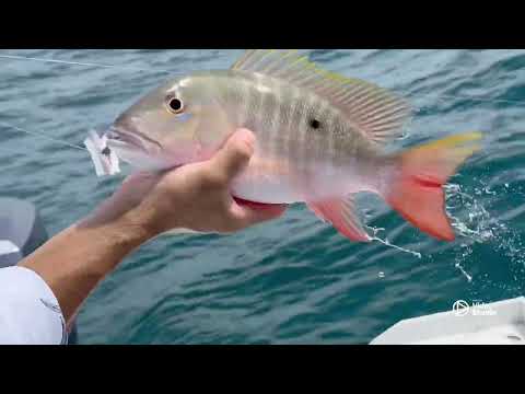 Pescando en mal tiempo miami