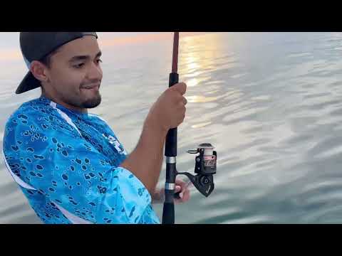 Pesca en miami de tiburón
