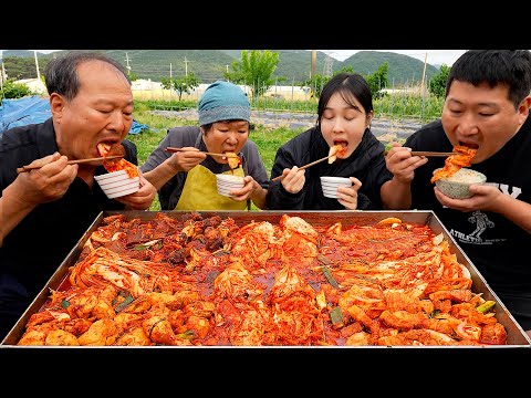 맛있는 김치 하나면 김치찜 뚝딱 돼지 소 닭 고등어 한 번에 육해공 김치찜 Braised Kimchi 요리