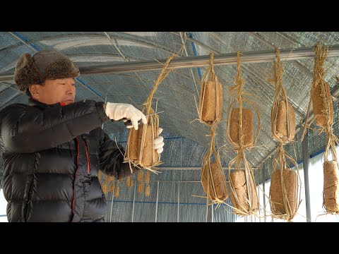 집된장과 집간장 만드는 6개월 전 과정 How to make Homemade Soybean paste