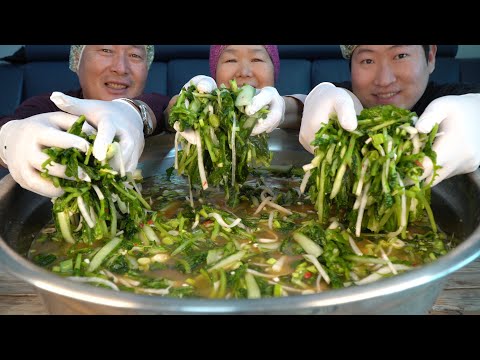 열무김치 만드는 전 과정 맛있는 보쌈과 열무 비빔국수 먹방 How to make Young radish