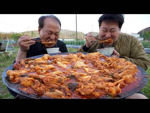 커다란 묵은지 통째로 넣은 얼큰한 곱도리탕 푹 익힌 부드러운 닭고기에 곱창 대창까지 Spicy