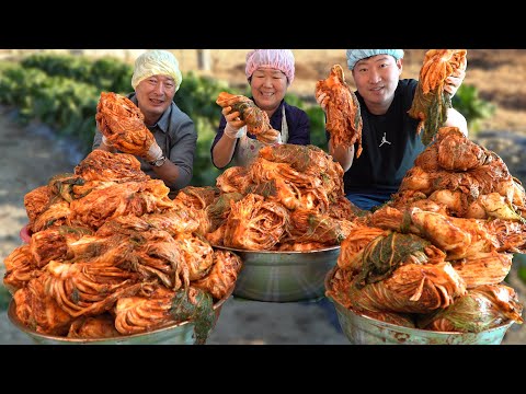 직접 재배한 배추와 고추로 김치 50포기 김장 김장김치와 신라면 8봉 먹방까지 요리 먹방 Mukbang