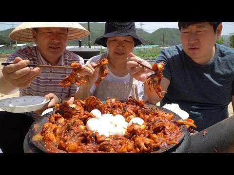 매콤하게 볶은 쭈꾸미와 삶은 계란의 조합 Stir fried Jjukumi small arm octopus