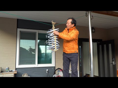 포항하면 떠오르는 겨울 과메기와 혼술 소주 한 잔 Gwamegi half dried herring with