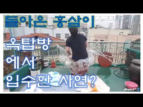 패기롭게 미션걸었다가 입수하는 흥삼 Highlight 흥삼 in 옥탑방 17 4 6
