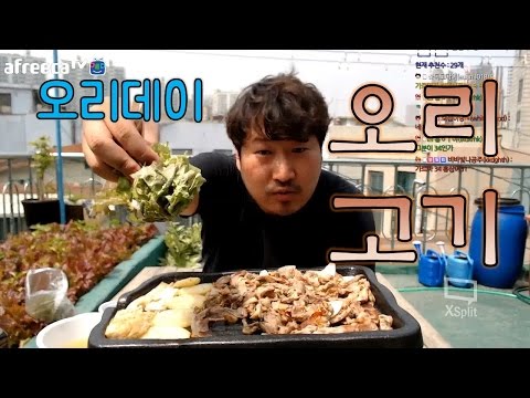 5 2 오리데이 기념 오리고기 요리 먹방 흥삼 in 옥탑방 17 5 2 Mukbang