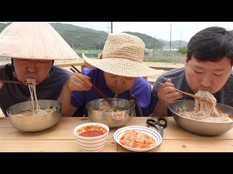 더위 날리는 시원한 물냉면 Cold Buckwheat Noodles 요리 먹방 Mukbang eating
