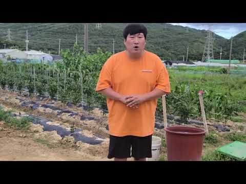 살이 너무 많이 쪘습니다