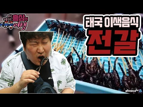 이걸 먹는다고 전갈 먹어보았습니다 태국 이색음식 먹방 18 3 10 Mukbang eating show