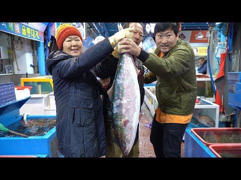 방어철을 맞아 죽도시장에서 대방어 Great yellowtail 한마리 먹방 Mukbang eating