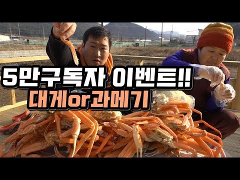구독자 5만 감사이벤트 대게와 과메기 먹방 이벤트 Mukbang eating show