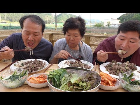 깻잎 쌈채소와 함께 불고기 덮밥 Bulgogi with Rice 요리 먹방 Mukbang eating